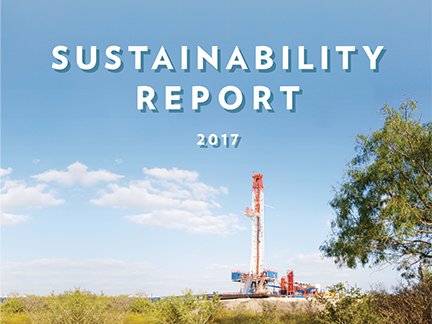 2017 Sustainability Report cover